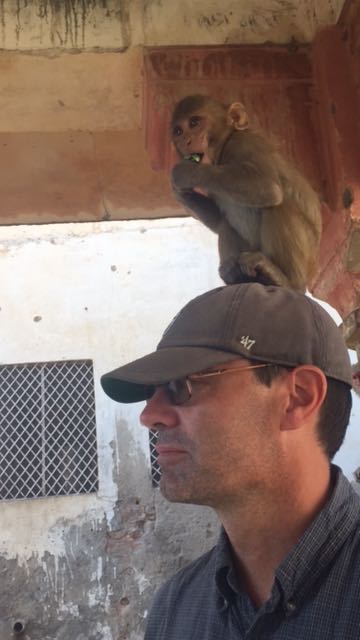 Alan with monkey (candy in mouth) Monkey temple, Jaipur India